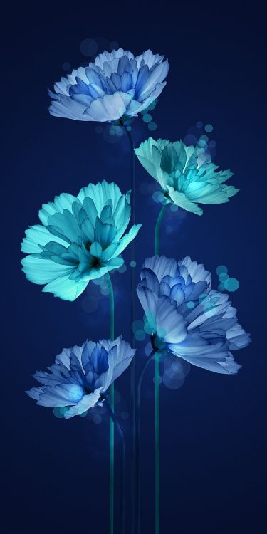 Blue, Azure, Pétale, Plante Herbacée, la Floraison de la Plante. Wallpaper in 1240x2480 Resolution