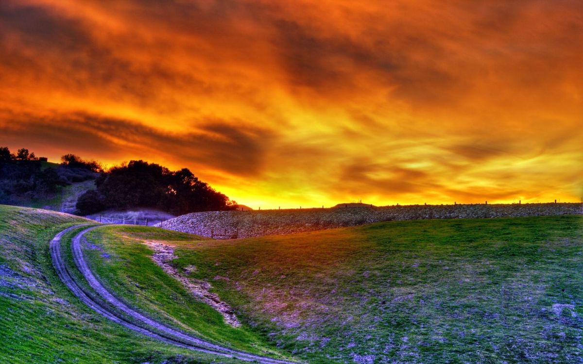 green grass field under orange and blue sky