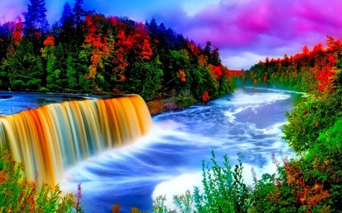 Image water falls surrounded by trees under blue sky