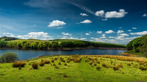 Image green grass field near lake under blue sky during daytime