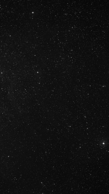 Image black and white starry night
