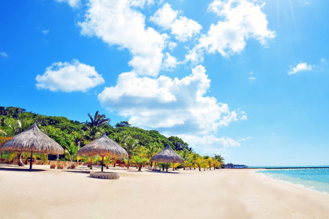 brown and green beach house under blue sky and white clouds during daytime