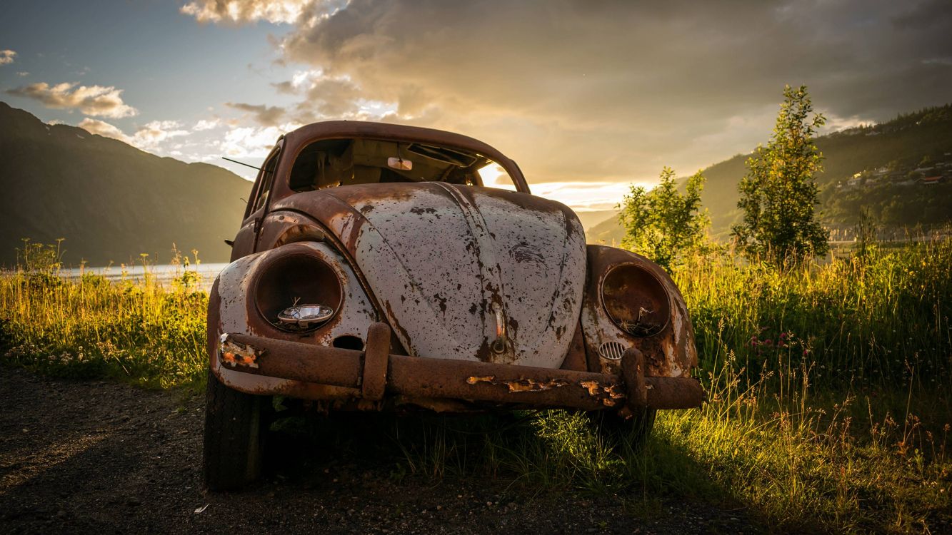 brown vintage car on green grass field during daytime