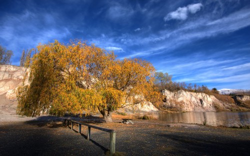 Image brown trees beside river under blue sky during daytime