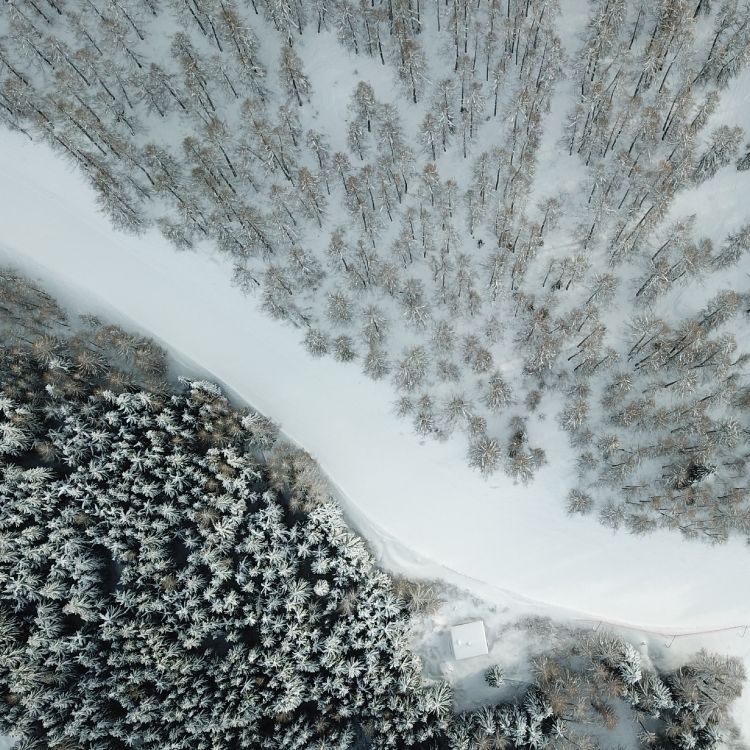 冬天, 水资源, 自然景观, 水道, 冻结 壁纸 2732x2732 允许