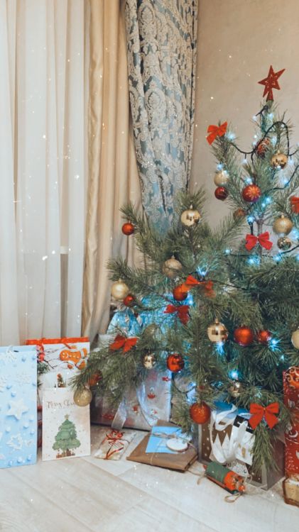 Weihnachtsbaum, Weihnachten, Baum, Innenarchitektur, Branch. Wallpaper in 1242x2208 Resolution