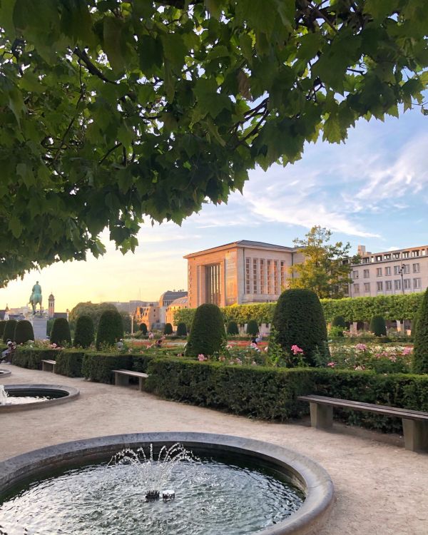 water, garden, real estate, leaf, water feature