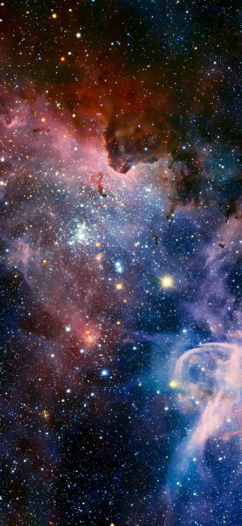 Smartphone, Ios, Morena, Ambiente, Entorno Natural. Wallpaper in 1080x2340 Resolution