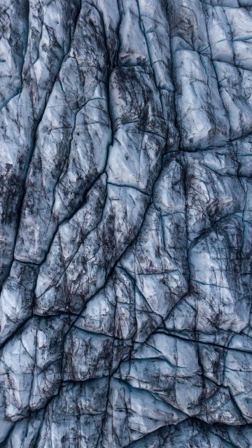 Image brown tree trunk during daytime