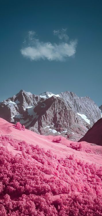 Manzana, Smartphone, Montaña, Paisaje Natural, Pendiente. Wallpaper in 1421x3000 Resolution