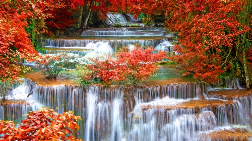 Image water falls in the middle of trees