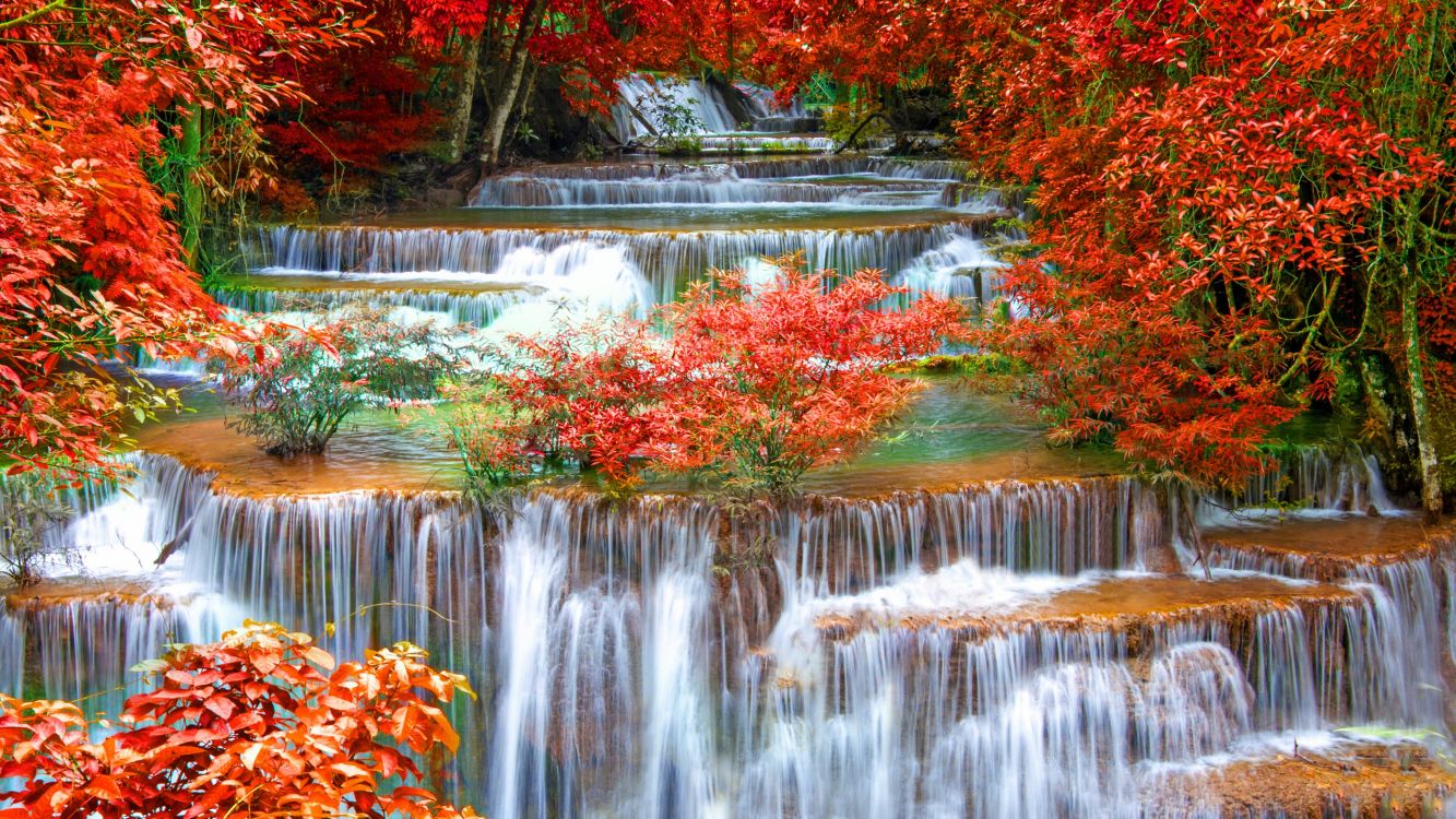 water falls in the middle of trees