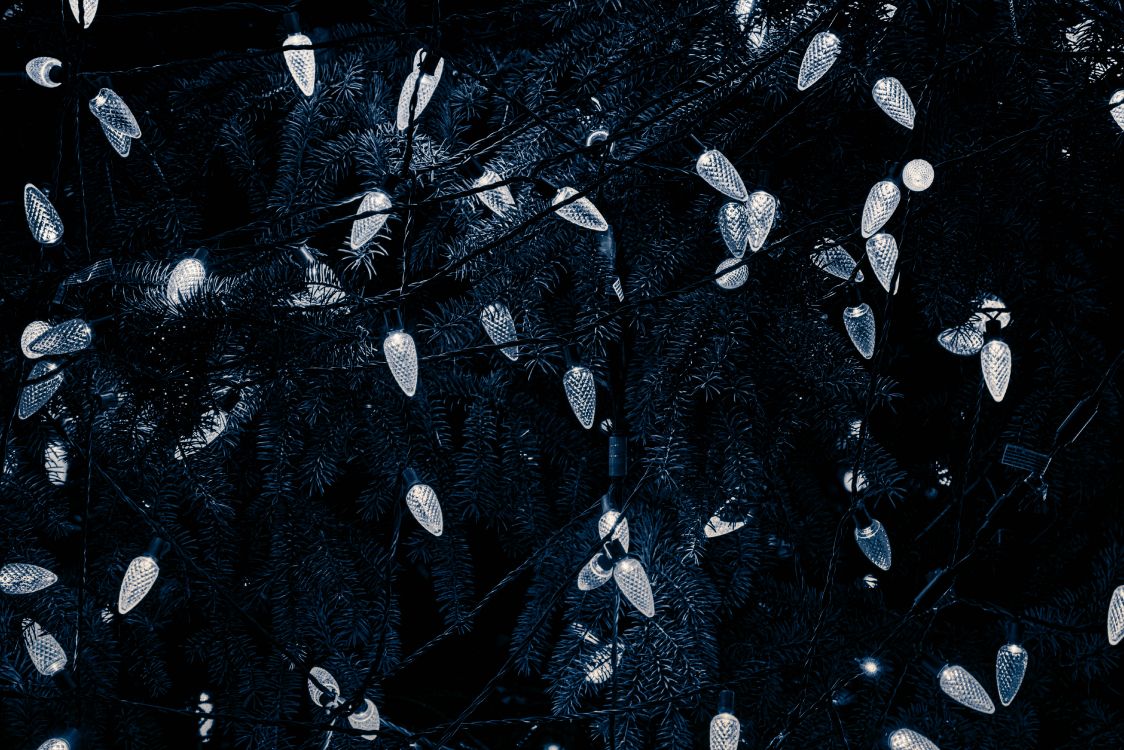 Schwarz, Wasser, Baum, Muster, Schwarz Und Weiß. Wallpaper in 5993x3997 Resolution