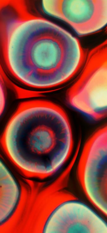 Fermer, la Pureté de la Couleur, Lumière, Red, Art. Wallpaper in 1170x2535 Resolution