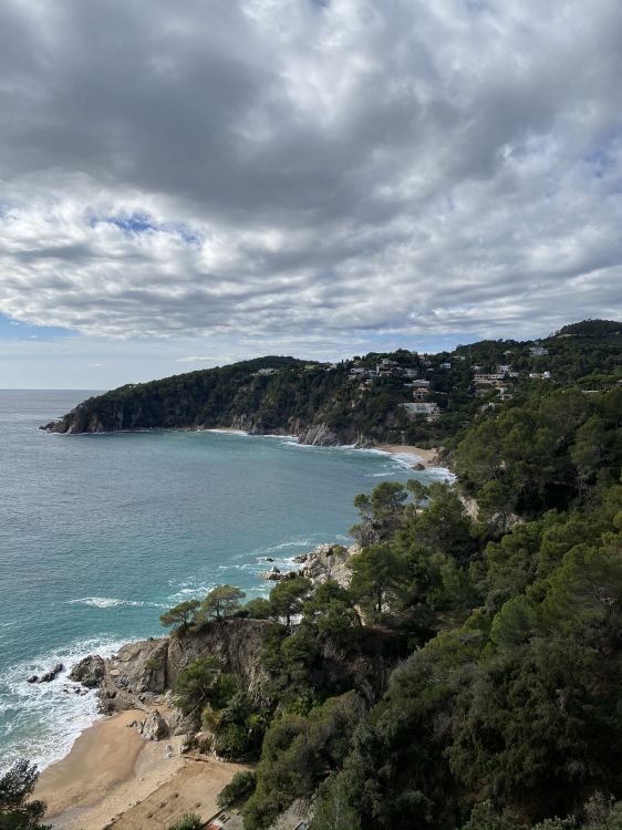 Küste, Wasser, Gewässer, Ufer, Ozean. Wallpaper in 1536x2048 Resolution