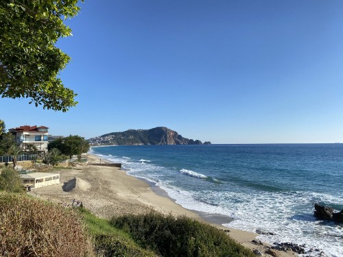 Image coast, water, plant, azure, natural landscape