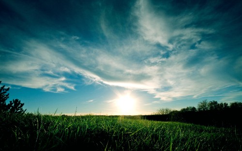 Image green grass field under blue sky during daytime