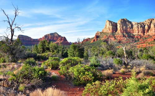 Image green trees and brown mountain under blue sky during daytime