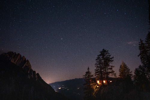 Image silhouette of trees during night time