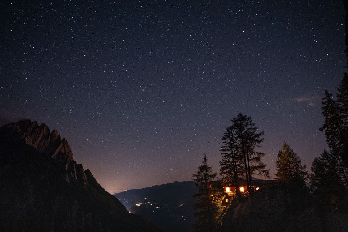 silhouette of trees during night time