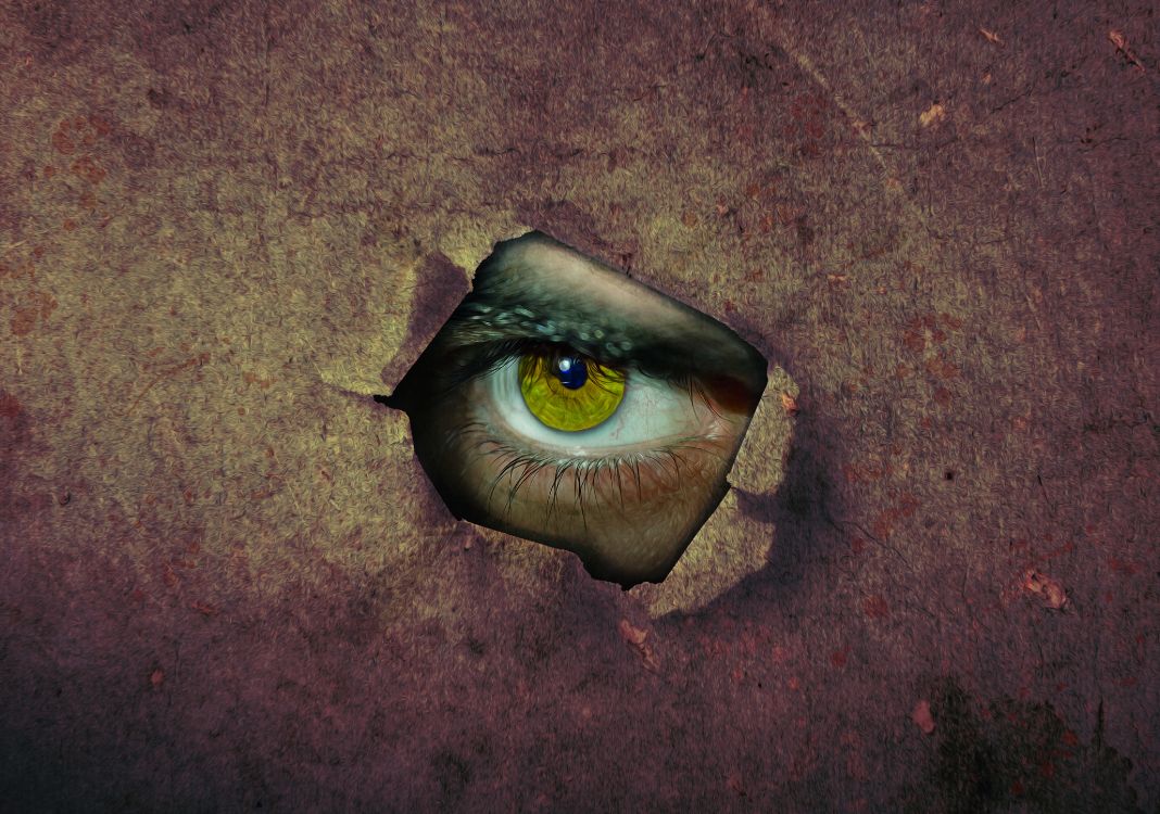 Pintura de Ojos Marrones y Negros. Wallpaper in 4200x2948 Resolution