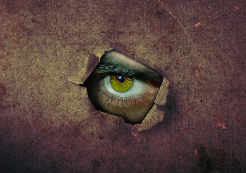 绿色的, 虹膜, 器官, 人类的身体, 嘴 高清壁纸，其他 图片，桌面背景和图片