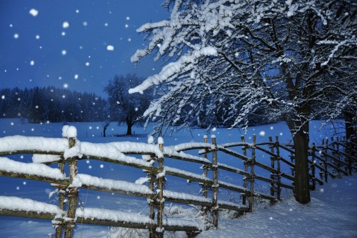 Image brown wooden fence covered with snow during night time