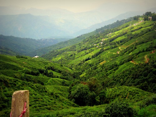 Image green mountains under white sky during daytime