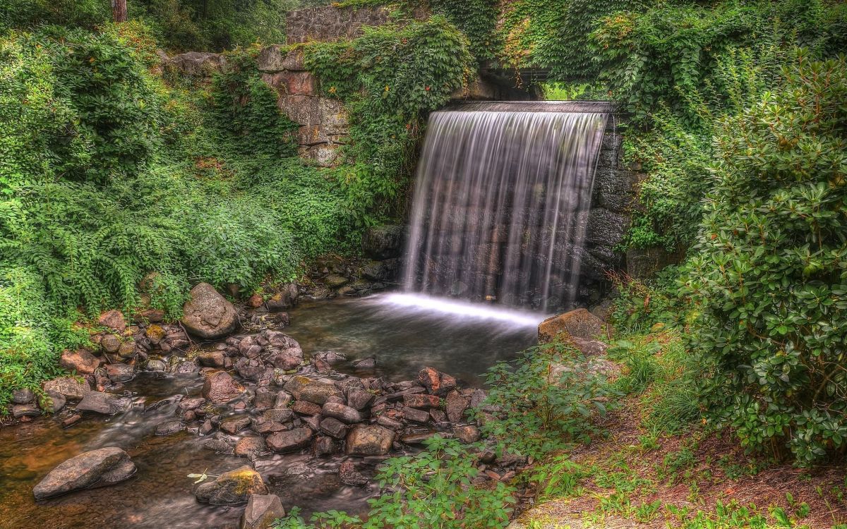 Cascades au Milieu de la Forêt. Wallpaper in 2560x1600 Resolution