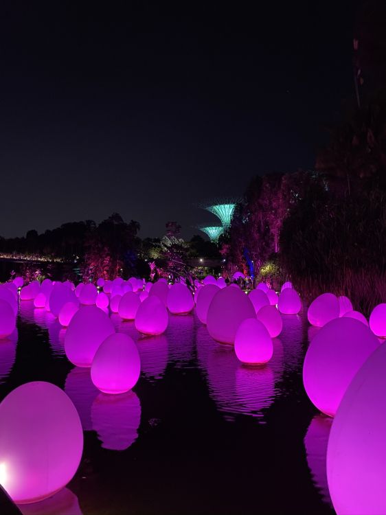 Singapour, Lumière, Physique, Sciences, Nuit. Wallpaper in 1536x2048 Resolution