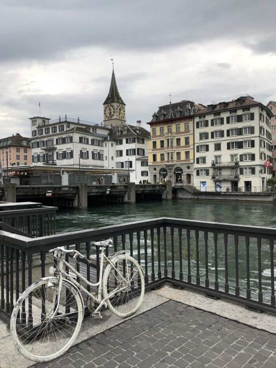 am Fluss Entlang, Fahrrad Reifen, Rad, Fahrrad-Rad, Fahrradfelge. Wallpaper in 1536x2048 Resolution