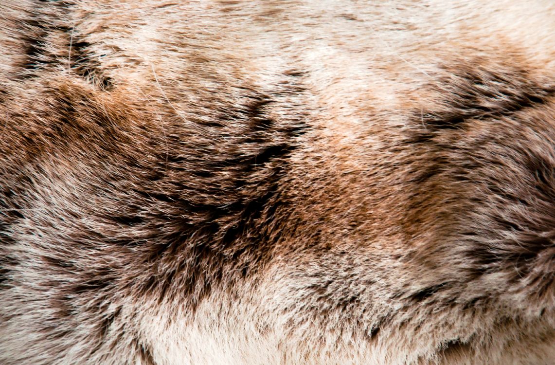 Brauner Und Schwarzer Pelztextil. Wallpaper in 3708x2436 Resolution