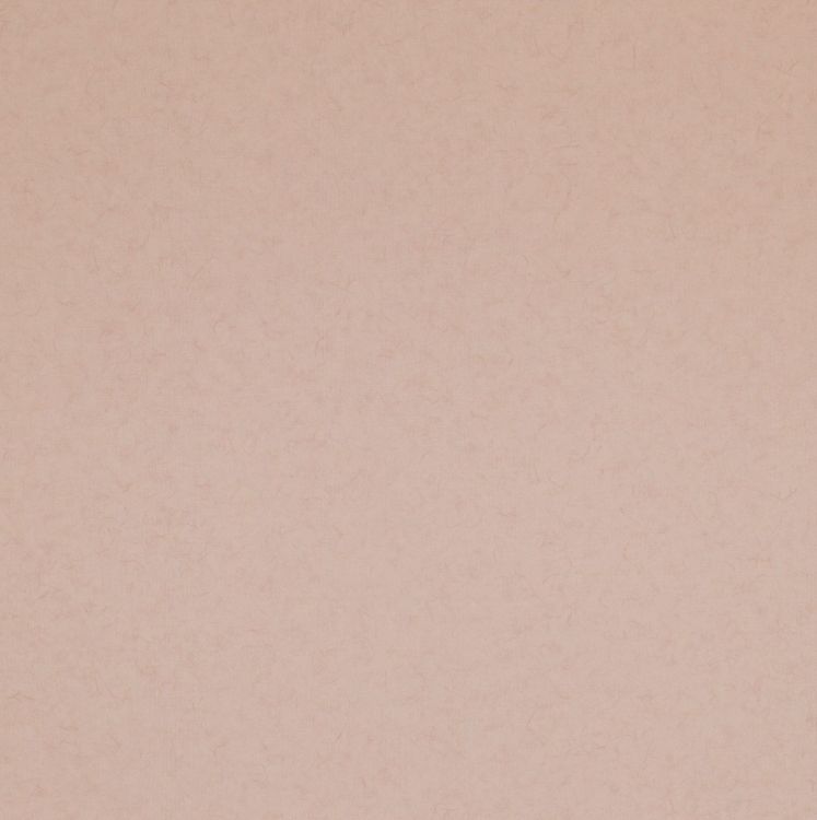 Braune Wandfarbe Mit Weißer Farbe. Wallpaper in 1500x1506 Resolution