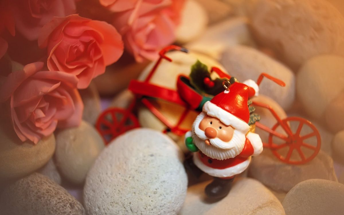 Santa Claus, Douceur, DVD, Le Jour De Noël, Ded Moroz. Wallpaper in 1920x1200 Resolution