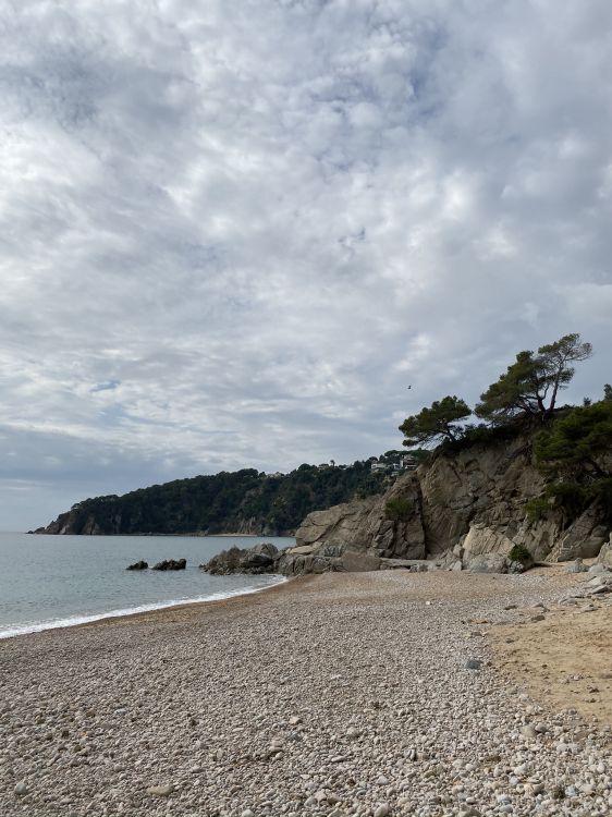 海岸, 岸边, 银行, 沙, 岬 壁纸 1536x2048 允许