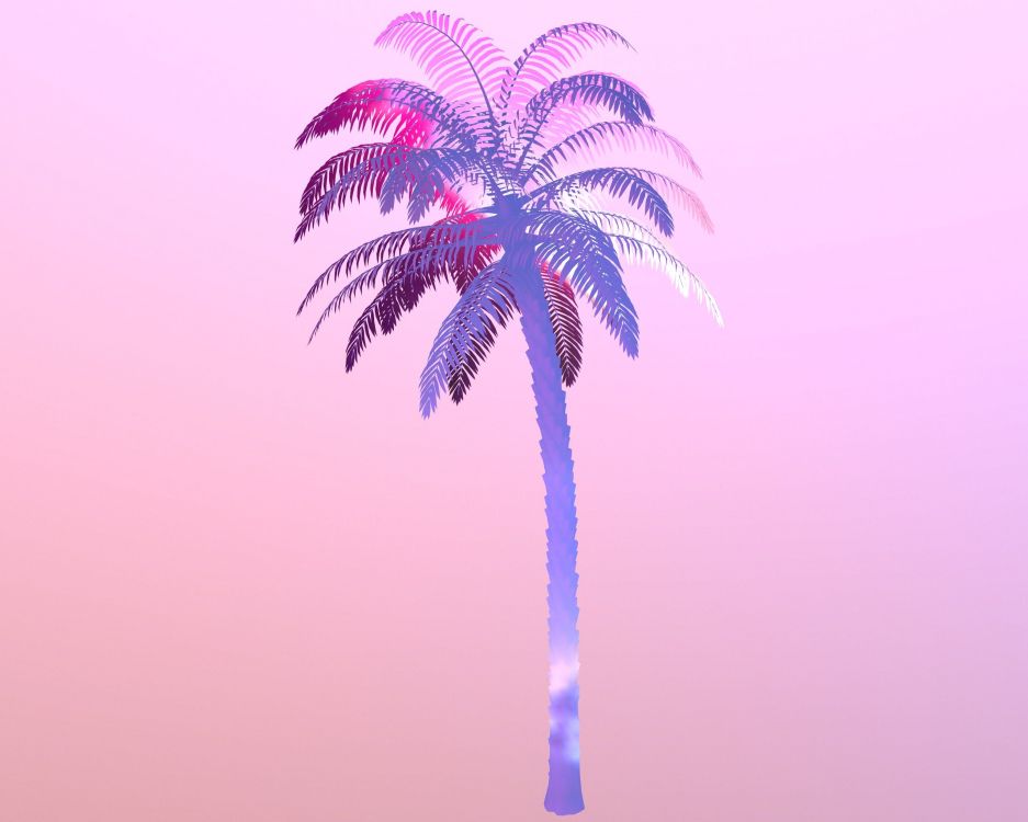 Palmera Verde Bajo un Cielo Azul Durante el Día. Wallpaper in 2560x2048 Resolution