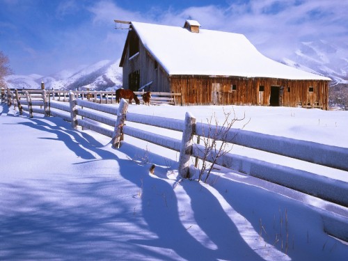 Image brown wooden house on snow covered ground during daytime