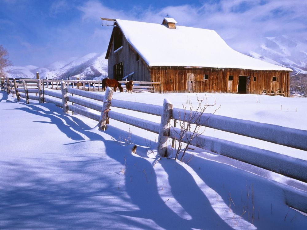 brown wooden house on snow covered ground during daytime