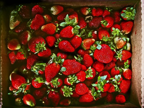 Image strawberries in brown wooden container