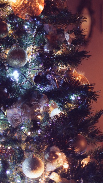 Image christmas tree, christmas ornament, Christmas Day, holiday, christmas decoration