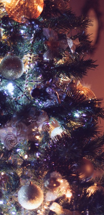 Image christmas tree, christmas ornament, Christmas Day, holiday, christmas decoration