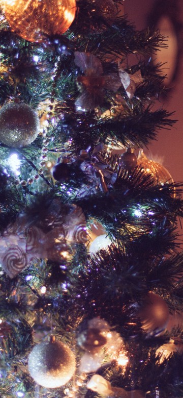 Image christmas tree, christmas ornament, Christmas Day, holiday, christmas decoration