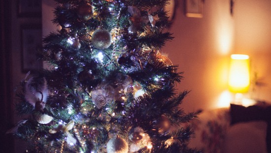 Image christmas tree, christmas ornament, Christmas Day, holiday, christmas decoration