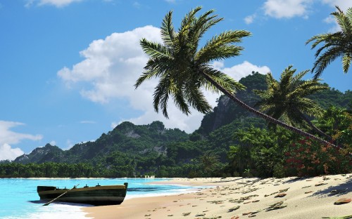 Image green palm tree on beach during daytime