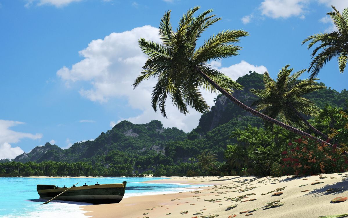 green palm tree on beach during daytime