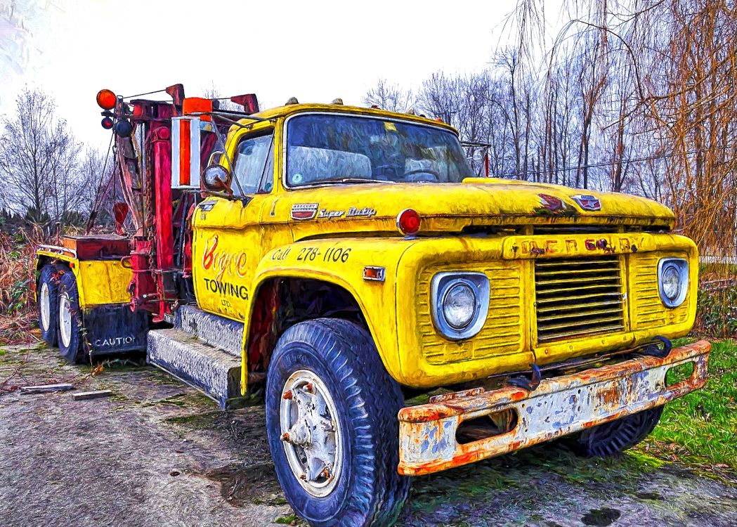 yellow and red truck near bare trees during daytime