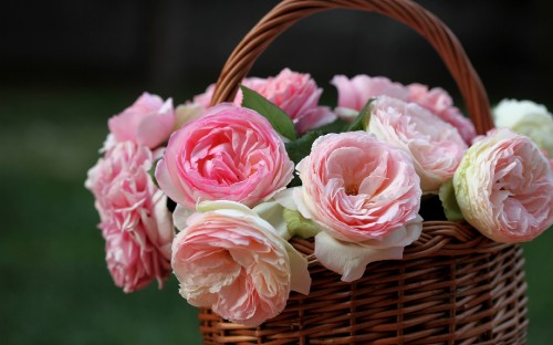 Image pink roses in brown woven basket