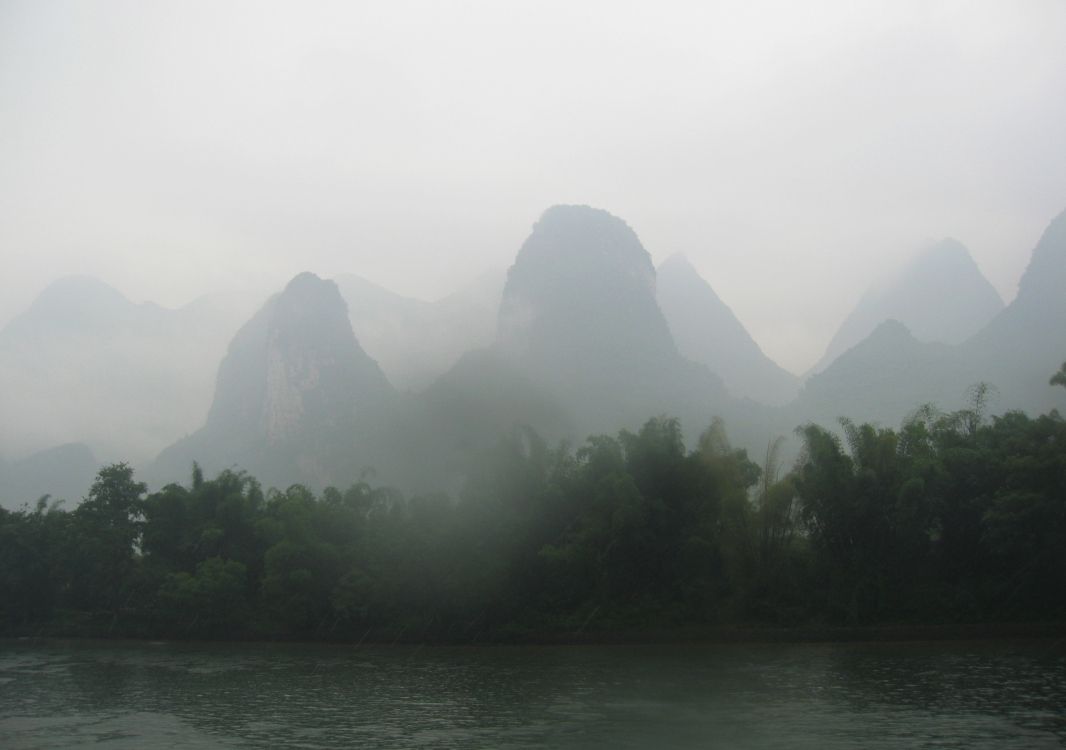 green trees near body of water during daytime