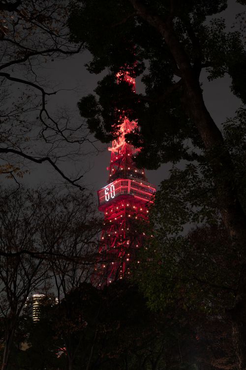 Rot-weißer Turm in Der Nähe Von Bäumen Während Der Nacht Night. Wallpaper in 4000x6000 Resolution
