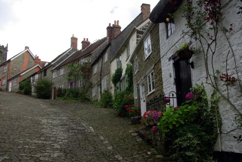 Image gray concrete pathway between houses during daytime